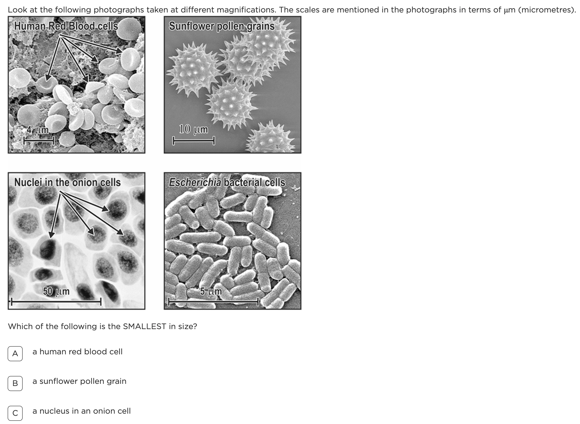 From Learning Data to Classroom Instruction